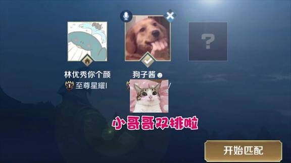 王者搞笑段子林颜狗子吵架以后有很多处理方式