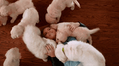 500_277gif 动态图 动图