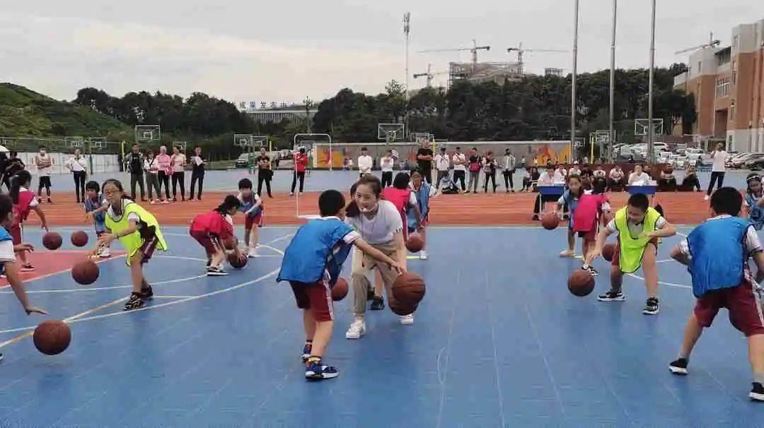 教案体育课小学下载什么软件_体育课教案模板小学_小学体育课教案下载