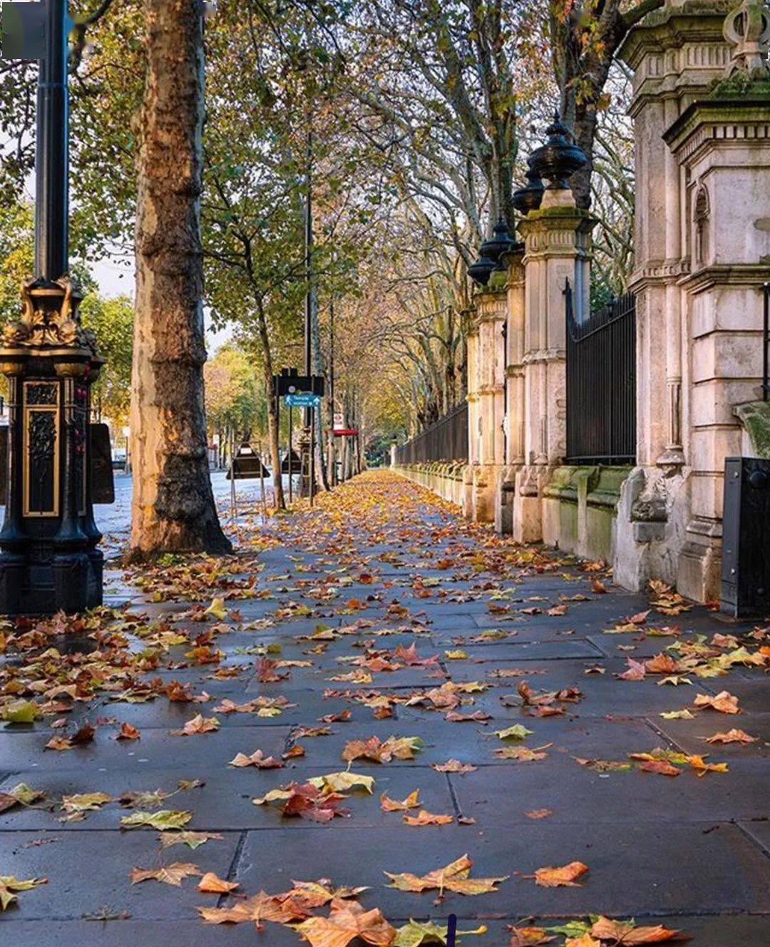 秋天,伦敦最缤纷的季节如期而至!
