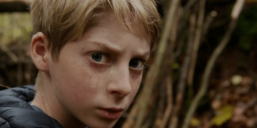 比《沉默的真相》更细思极恐,不愧是法国年度悬疑小说!_雷米