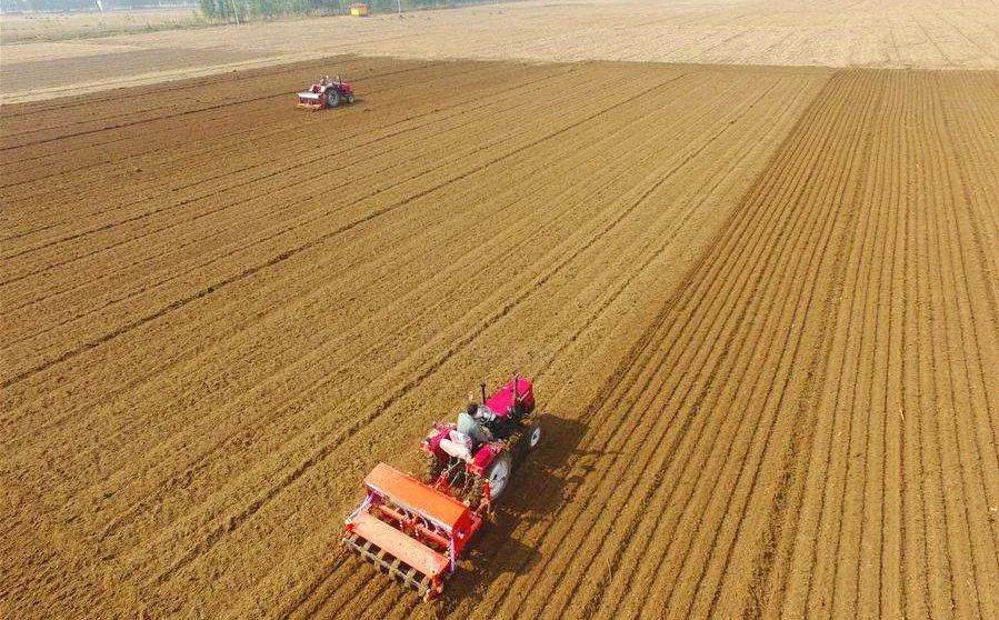 这才是冬小麦正确播种"姿势"!