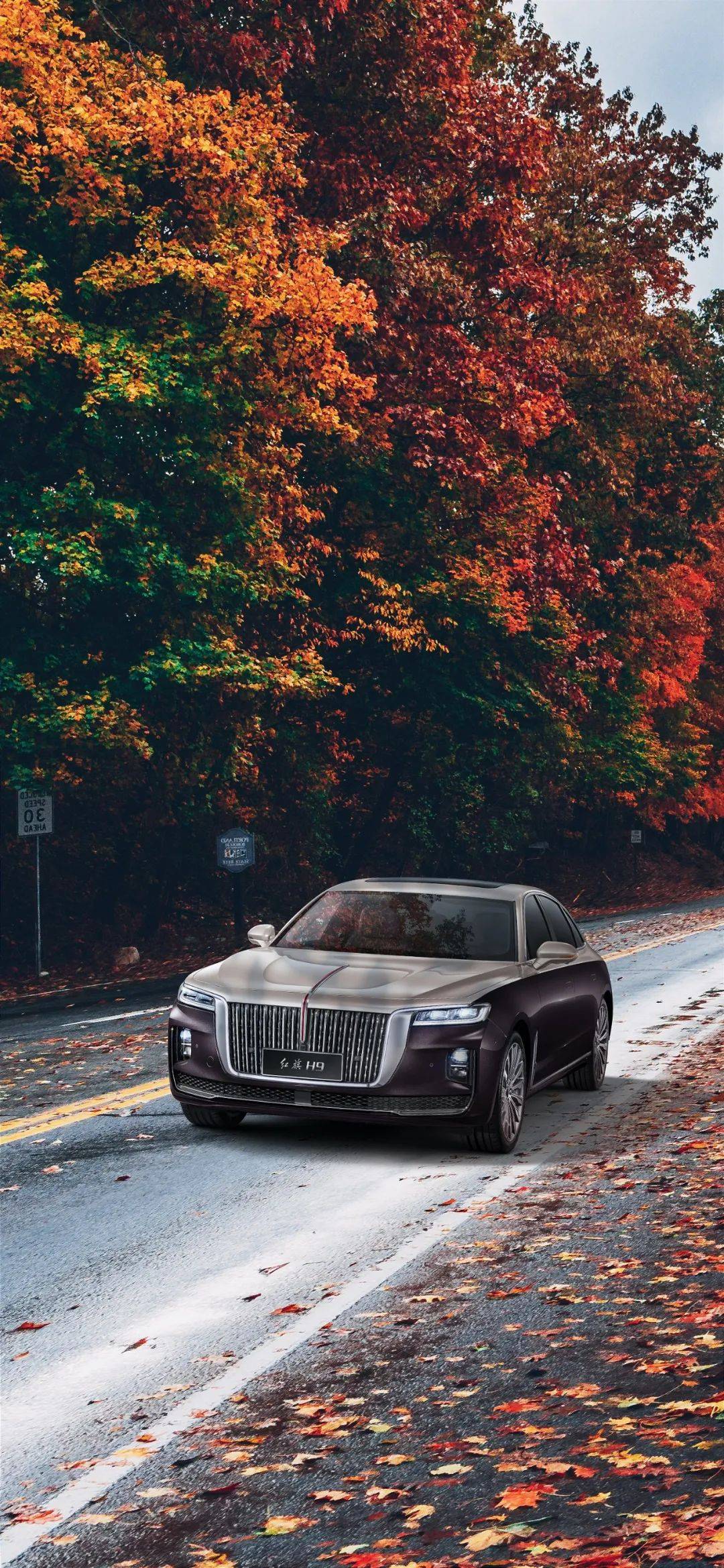 江阴永兴红旗展示店澄杨路111号