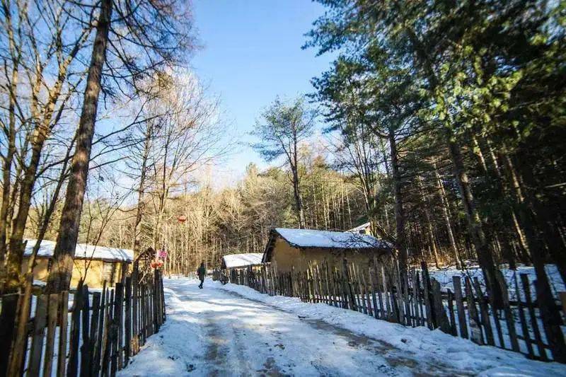 玩转东北关东龙脉长白山高山堰塞湖镜泊湖亚布力第一峰虎峰岭大关东