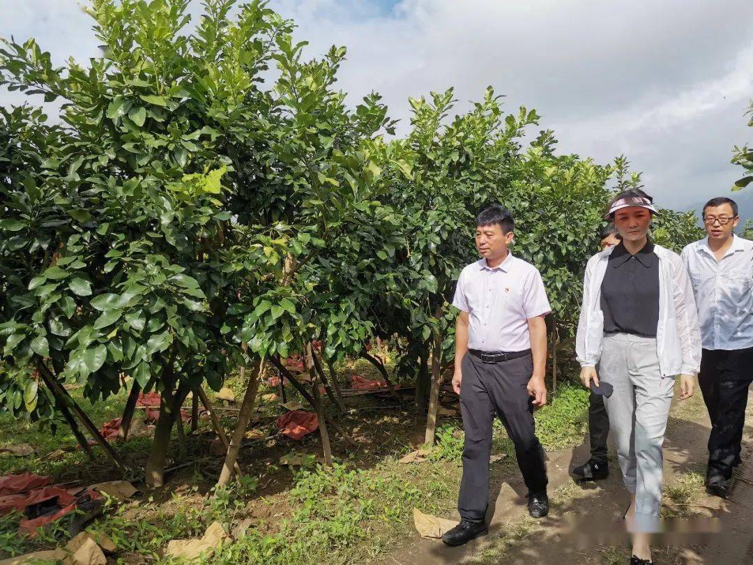 团州委到盈江开展青年创业工作调研