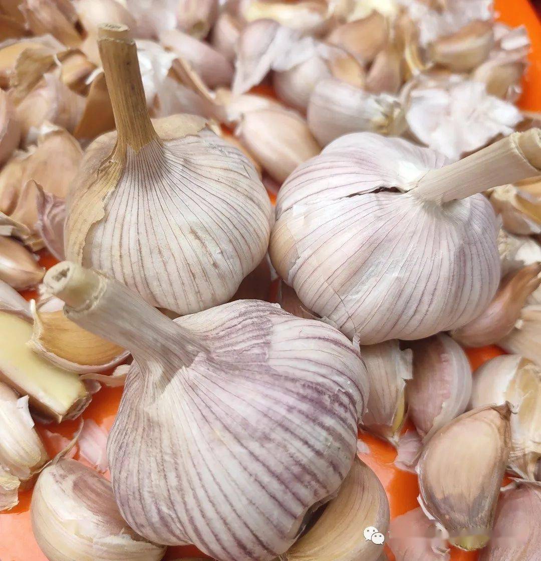大蒜又叫胡蒜,葫,独头蒜,独蒜.
