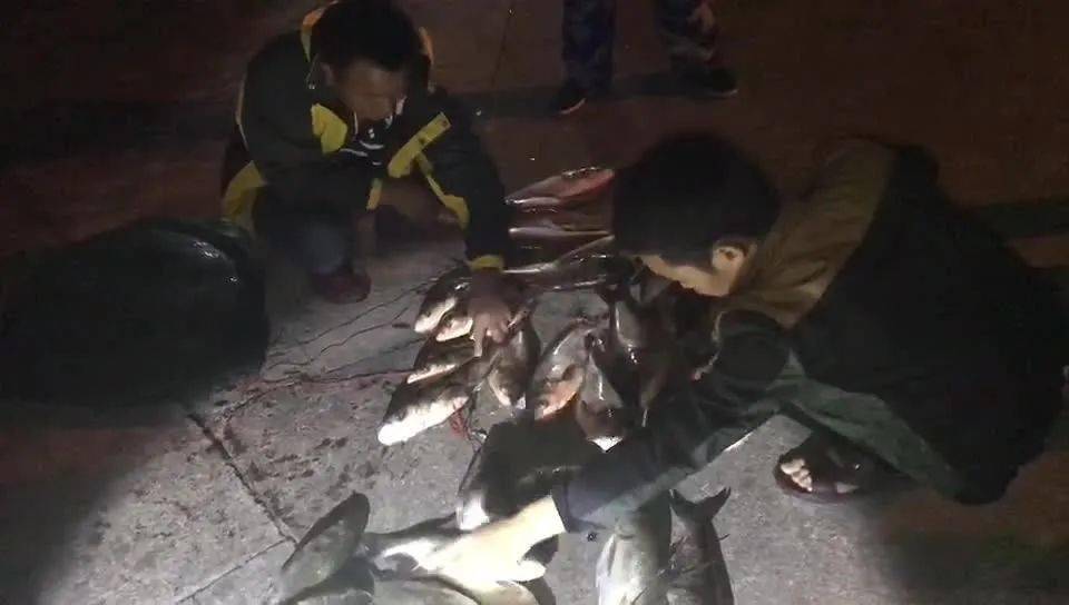 凌晨四点两男子在横河梅湖水库偷鱼没想到