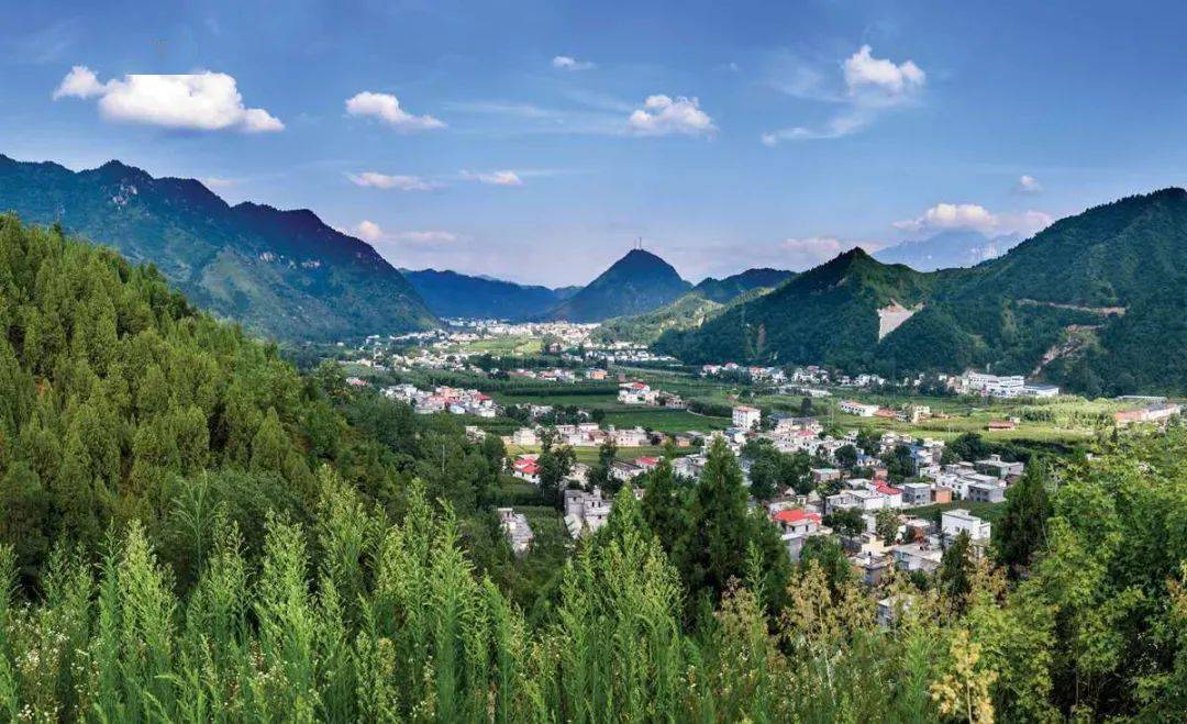 栾川县石庙镇产业为基富乡亲