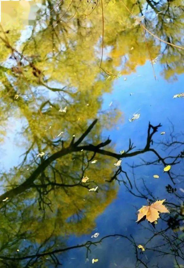 天水秋云薄,天长杳无隔,秋意冉冉,一年中最美季节将至,清秋流年,烟火