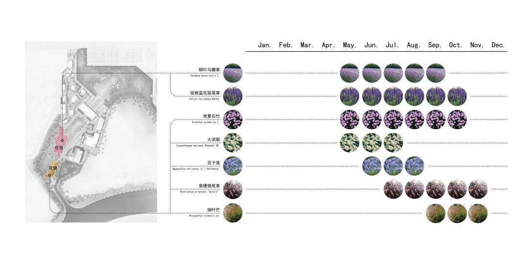 花境花海季相分析△开花乔木季相分析08【兴造】巧于因借,精在匠心