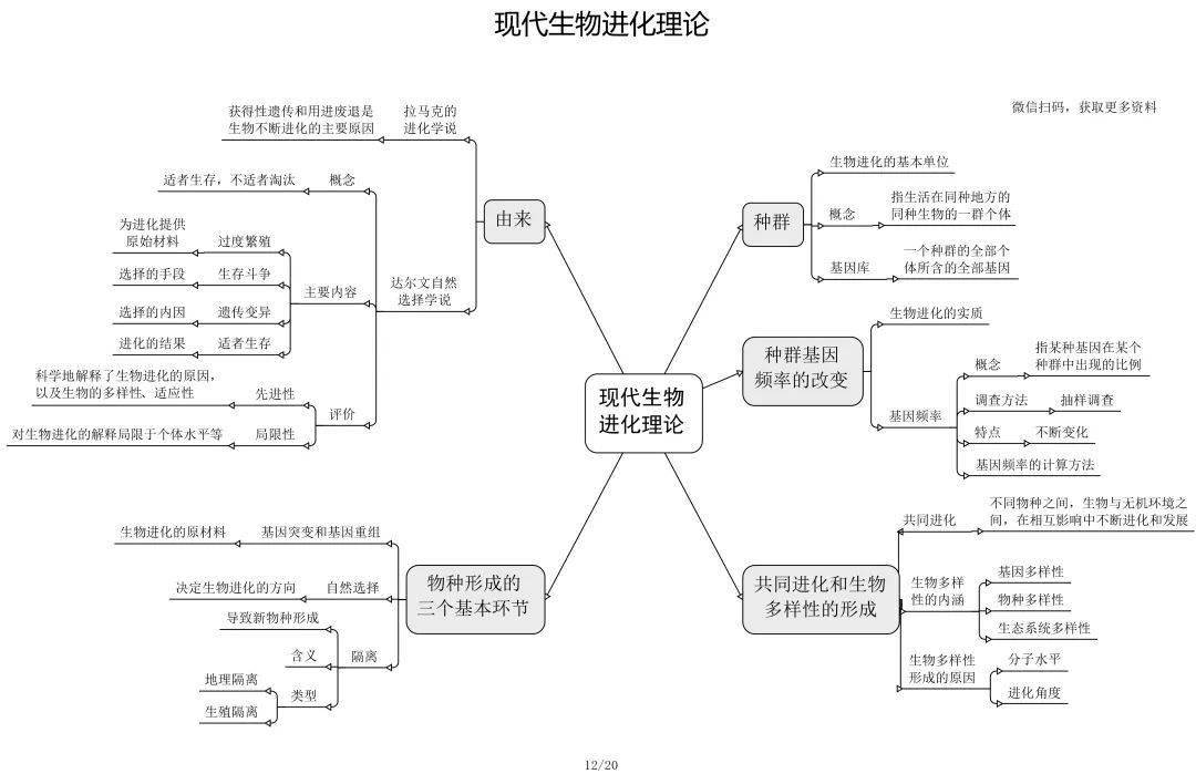 高中生物必修 选修思维导图最全归纳