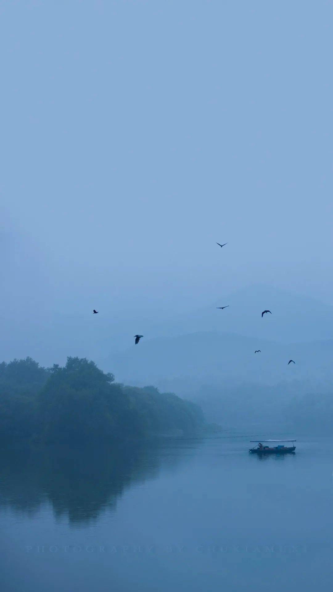 古琴雁南渡懷一顆寧靜淡遠之心聽琴修禪