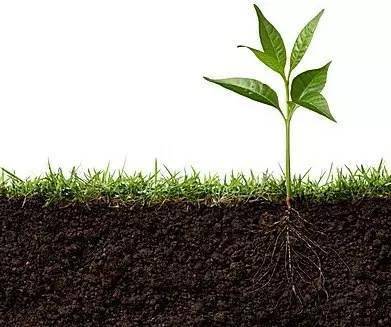 那些你不知道的土壤秘密