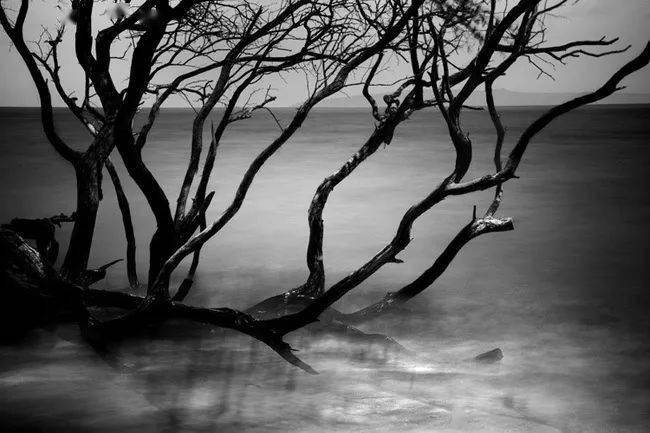 分享| 静穆风光