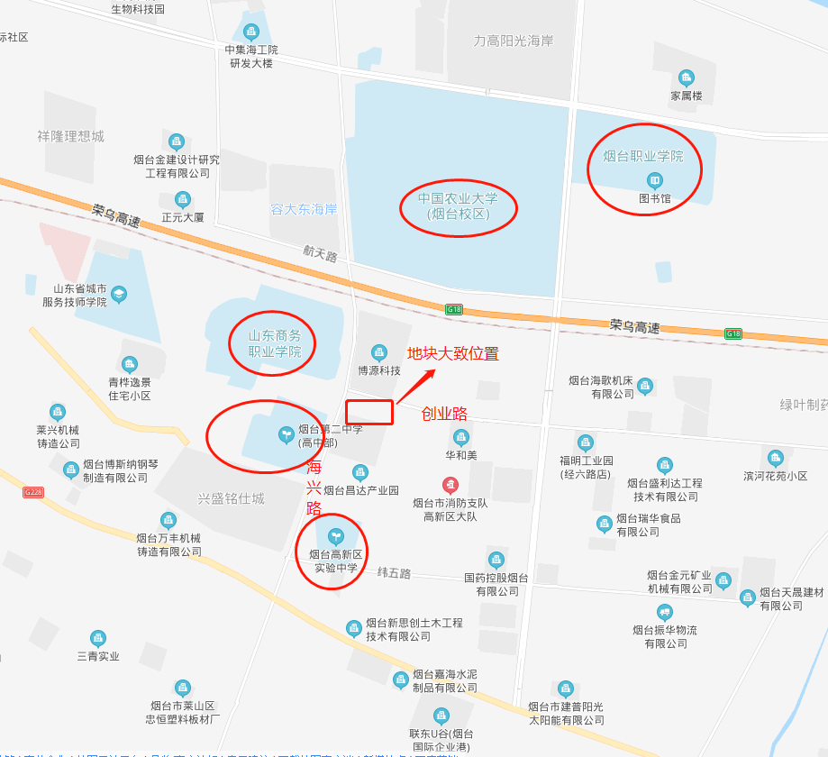 烟台二中高新校区地图图片