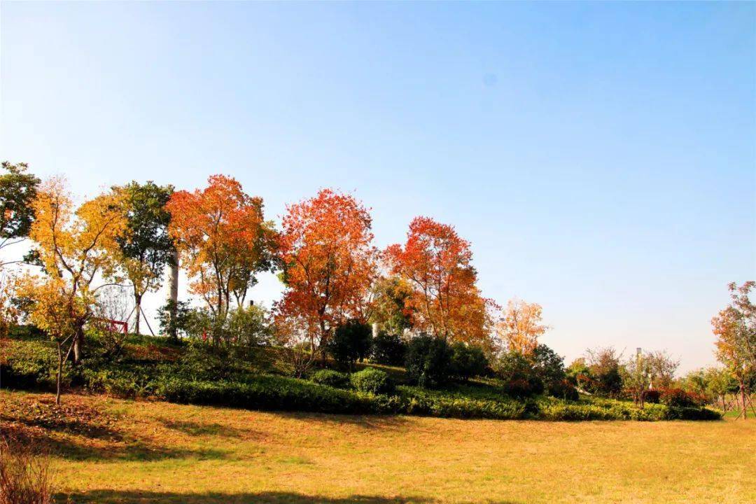 头条运河流新韵名城秋正好来吧游遍四周醉美泗州