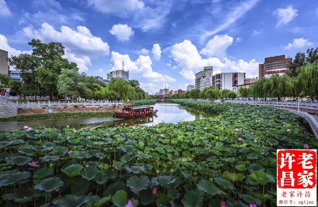 许昌沙水记犯罪团伙图片