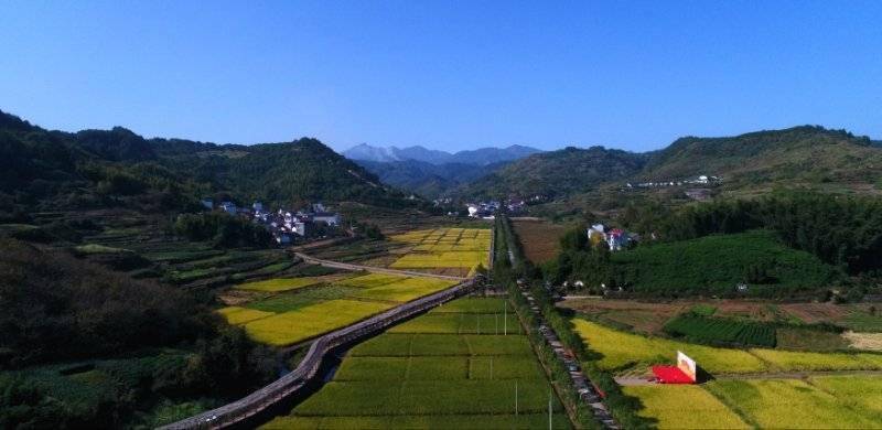 探寻·"重要窗口"武义风景】76 | 打破山多田散发展瓶颈 桃溪镇以