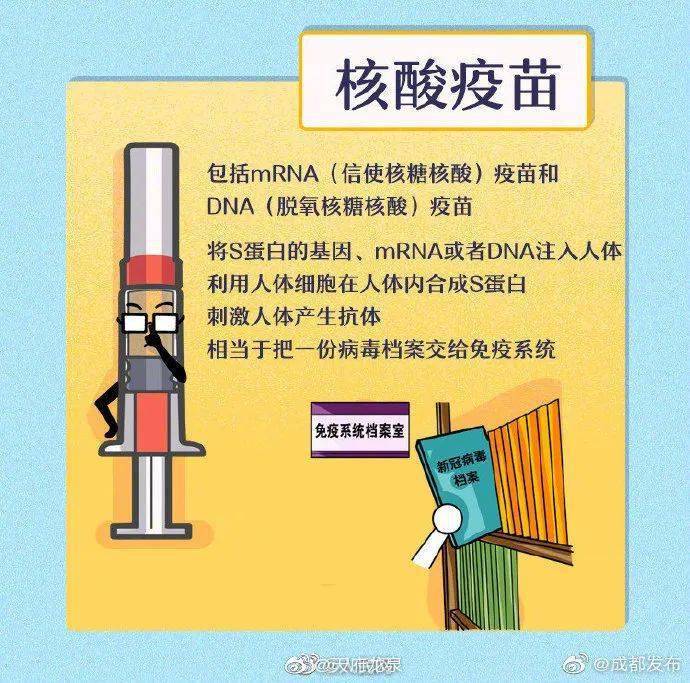 中国疫苗内容图片