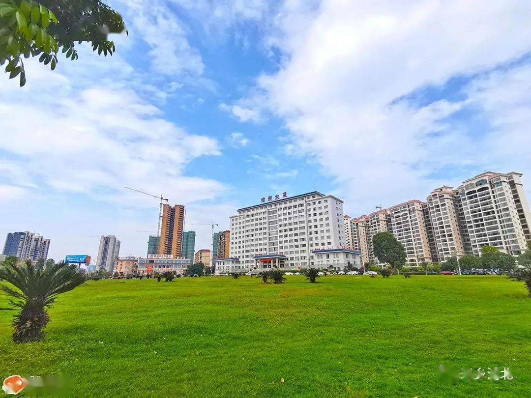 你发现没浦北金浦新区已变靓到快认不出了多图