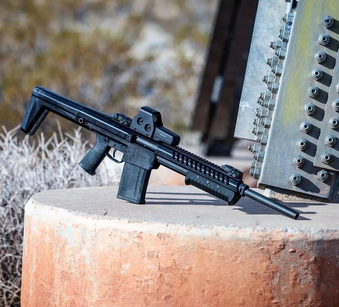 【又见黑水】sentry 12霰弹枪图集