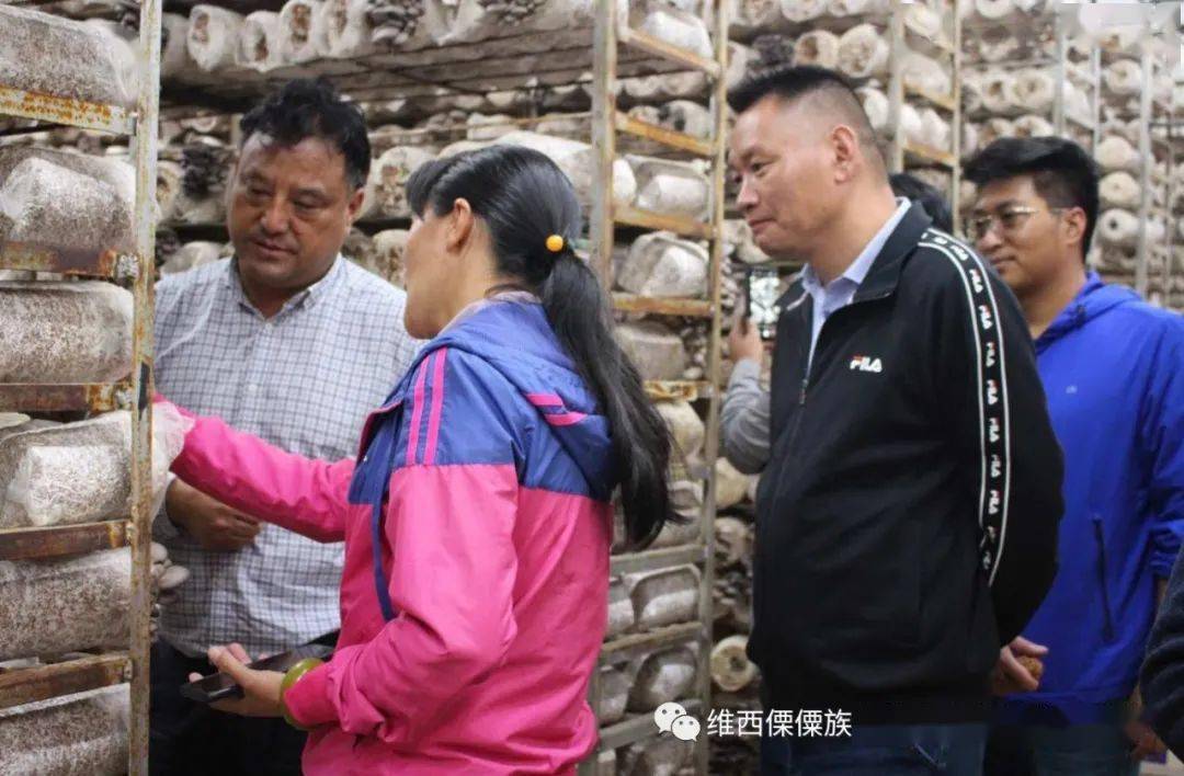 县委书记格桑纳杰到保和镇调研产业发展指出乡村振兴需要更多的土专家