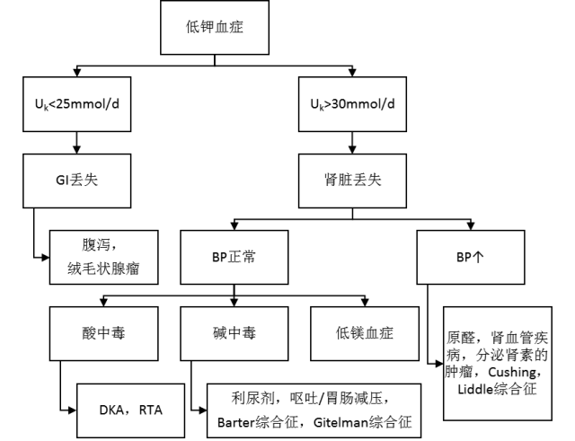 高钾血症cin:慢性间质性肾炎;dn:糖尿病肾病;tin:小管间质性肾炎参考