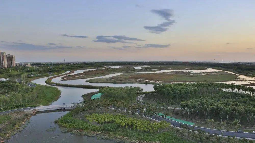 完工临港湿地公园二期周日开放