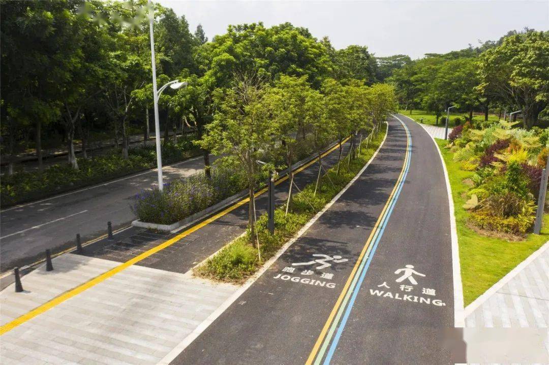 沿途风景美如画顺德这条高颜值半马健身步道来n次都不够