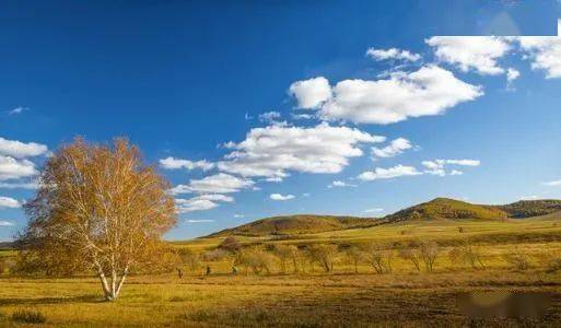 安徽诗歌以声传情张学宏笑溪▎云很低风也很低