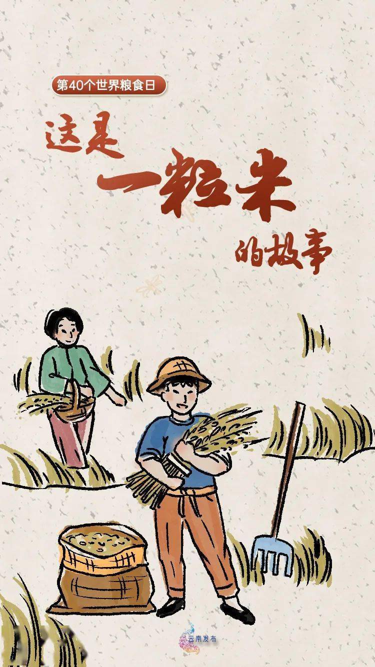 大家好 我是一粒米 是人类的好朋友 今天是我的节日 ——第40个世界