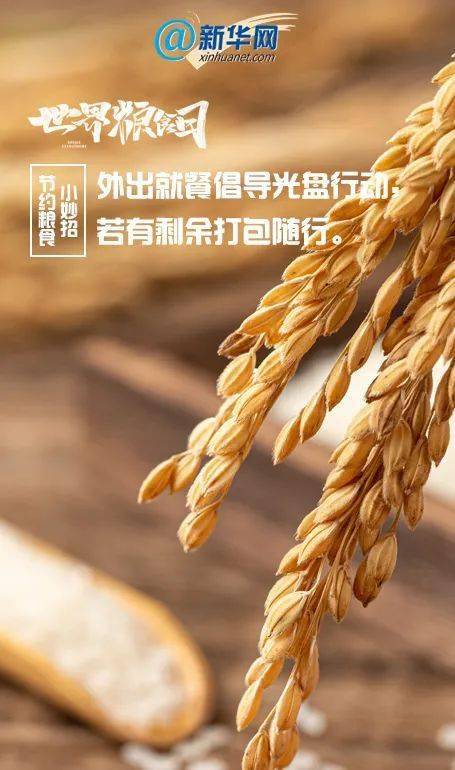 世界粮食日,做一个有"粮"心的人