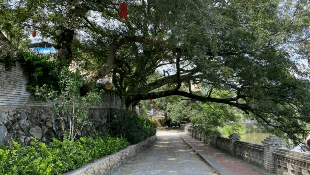 诗和远方福州周边游白沙镇