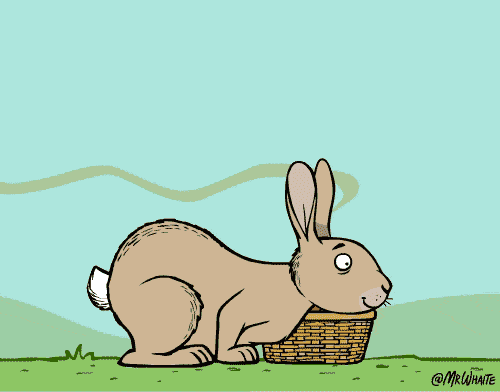 兔子动漫gif图片