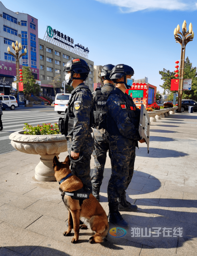 【特别关注】独山子区警犬巡逻,快来围观