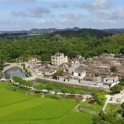 蝶变一组数据展示阳江农村巨变