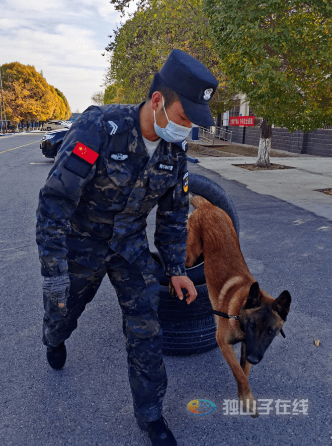 【特别关注】独山子区警犬巡逻,快来围观