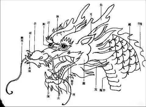 教程龙的画法步骤示范