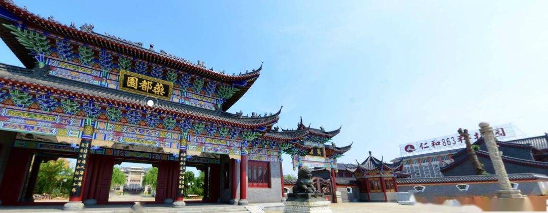 这就是樟树