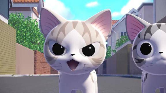 《甜甜私房猫》可奇又在不懂装懂了,可怜的特里一直在受罪!