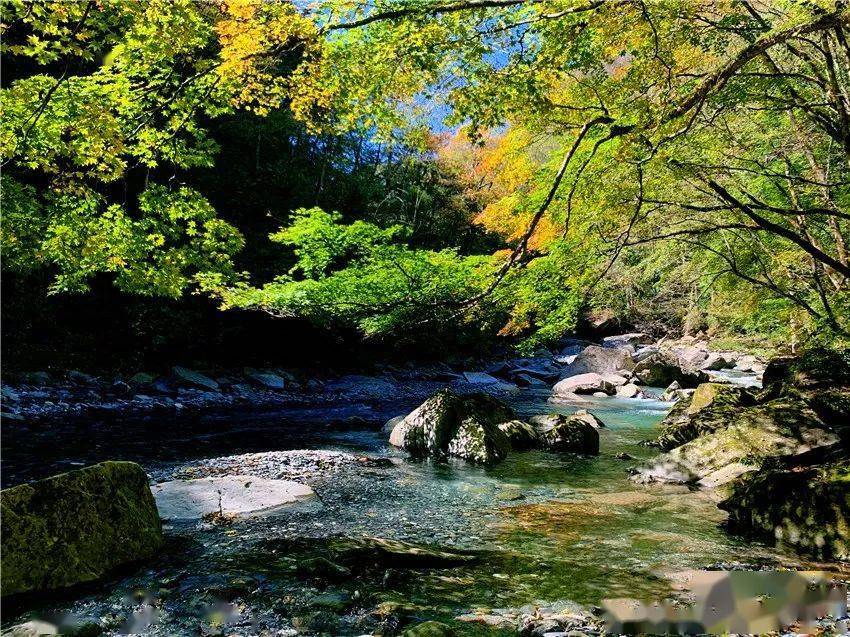 千层河包揽了全安康最美的彩叶,让你一次看个够!