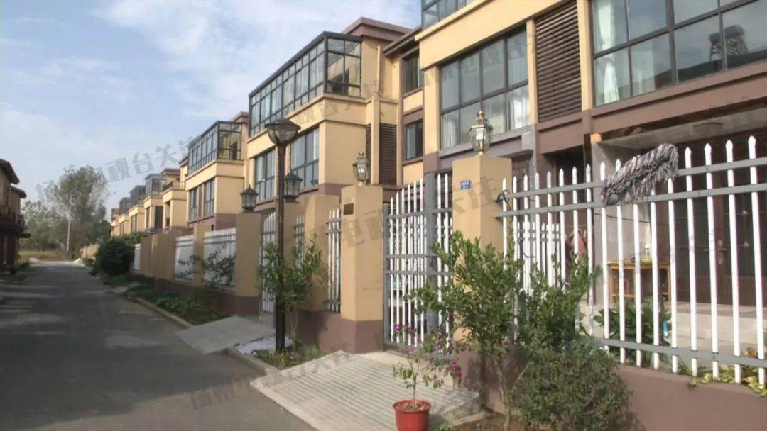 毁绿种菜怎么破仪征马集有妙招