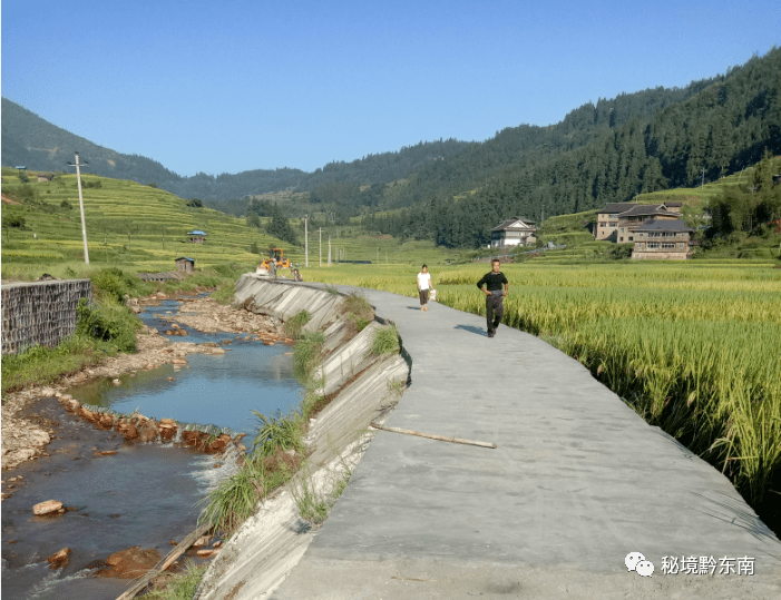 聚焦为扶贫造血为脱贫探路记从江县丙妹镇大洞村委会主任韦忠辉
