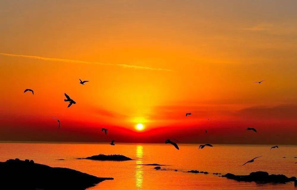 【诗城海宁】王铮:晨曦,一束旭光