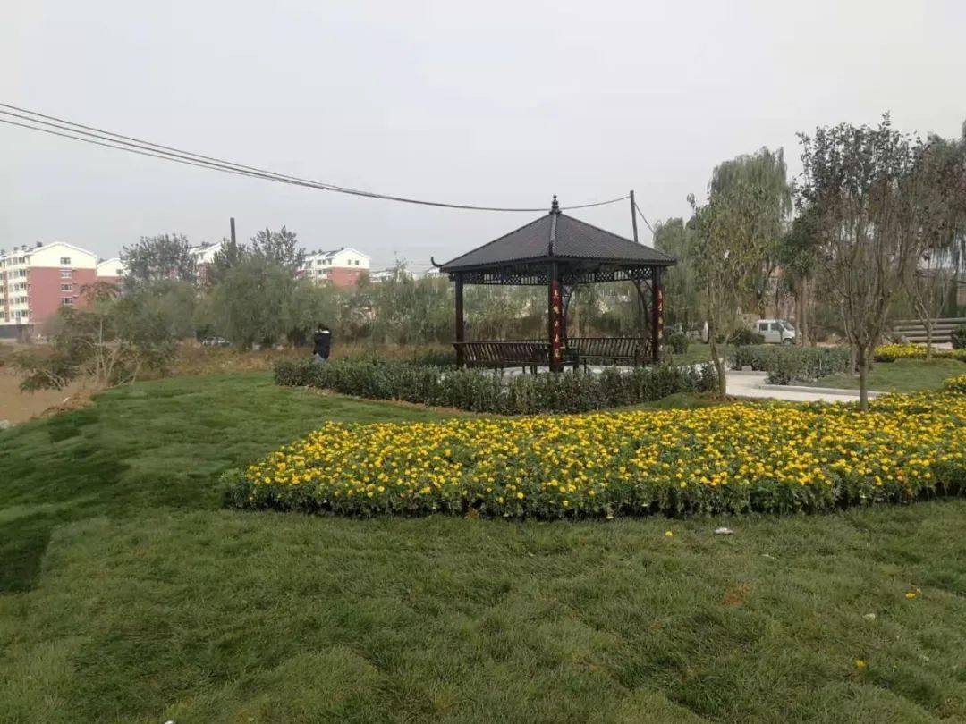 北义城镇五大提升改善农村人居环境