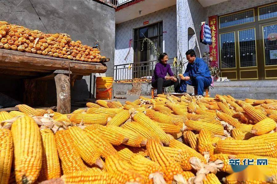 走向我们的小康生活山西太行山贫困村庄蝶变记