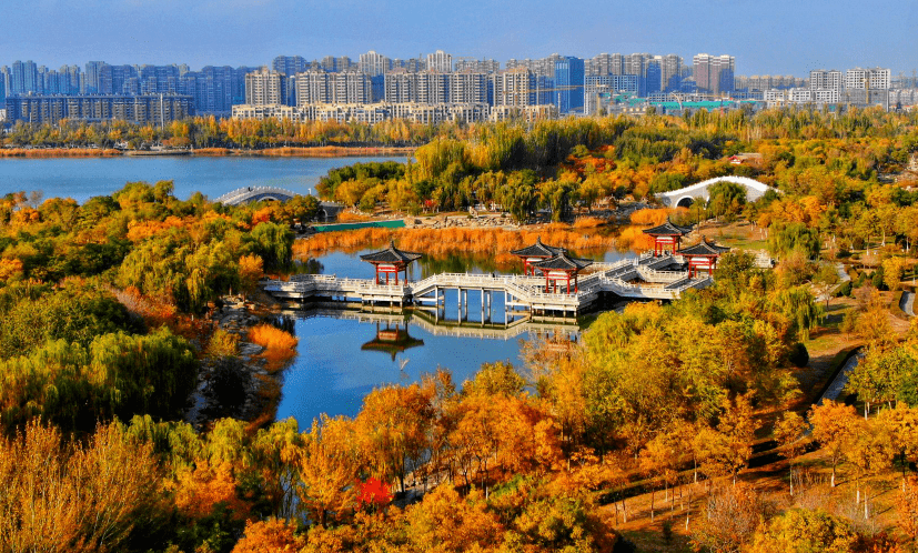 103761银川这9个赏秋公园生态原始野趣横生景美人少任你选