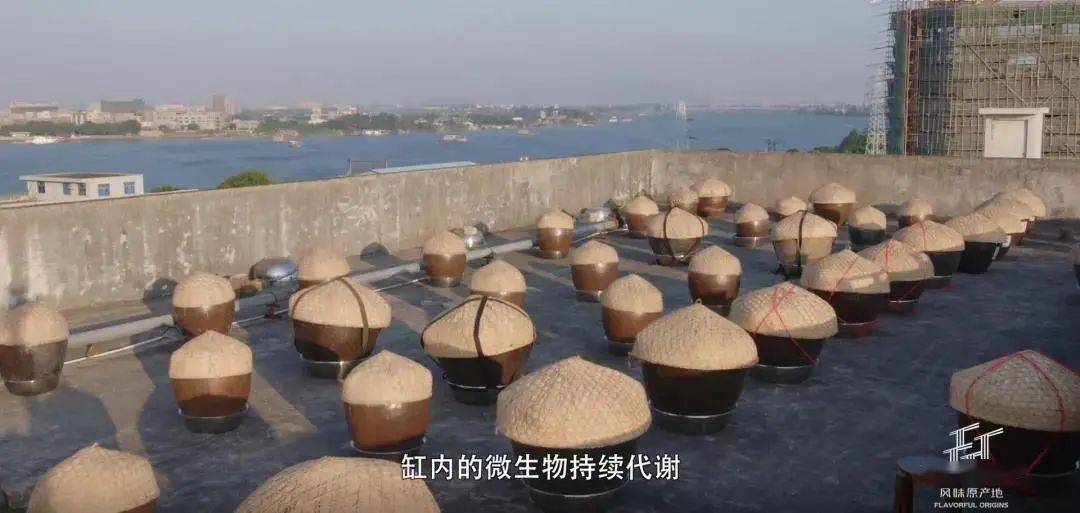 第三步"翻晒",将发酵完毕的生鱼进行暴晒,每日翻拌几次,晒足20天,鱼露