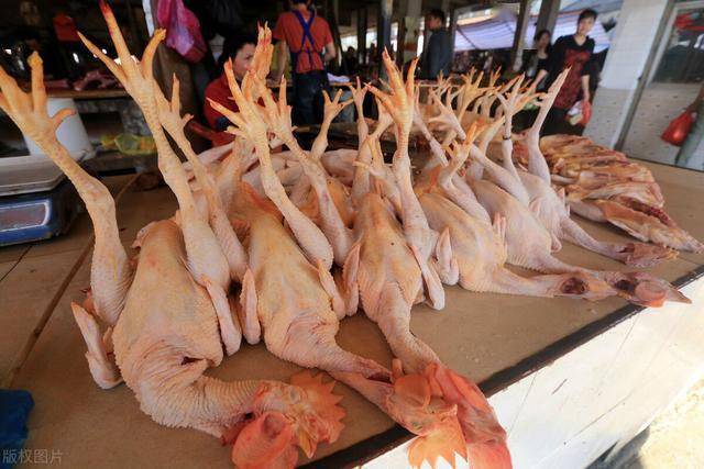 菜市场买鸡怎样分辨病死鸡教你简单4招知道后别被坑了