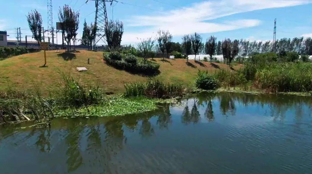 黑臭河道换新颜高新区西十字河打造美丽河湖诗意家园